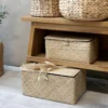 Seegras Box
