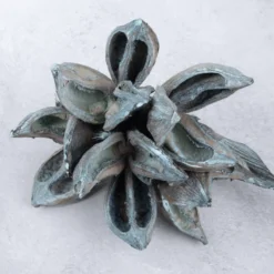 Sororoca Frucht aqua