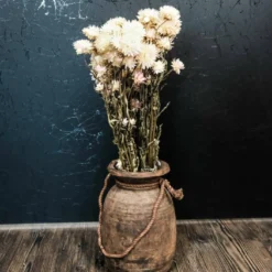 Trockenblumen Helichrysum
