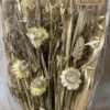 Trockenblumenstrauß beige