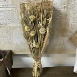Trockenblumenstrauß beige