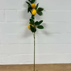 Zitronen Zweig Lemon