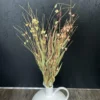 Zweig Getrocknete Blüten