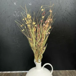 Zweig Getrocknete Blüten