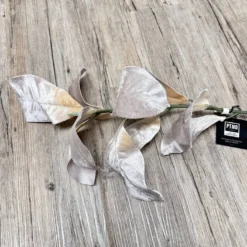 Zweig Magnolienblätter